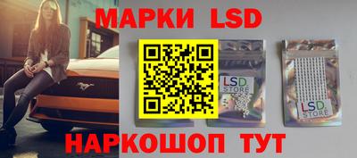 молекула духа Донецк