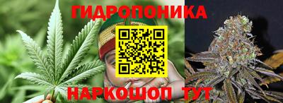 индика Донской