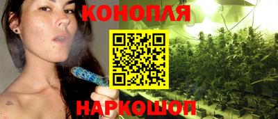 спиды Дубна