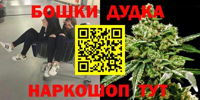молекула духа Донецк