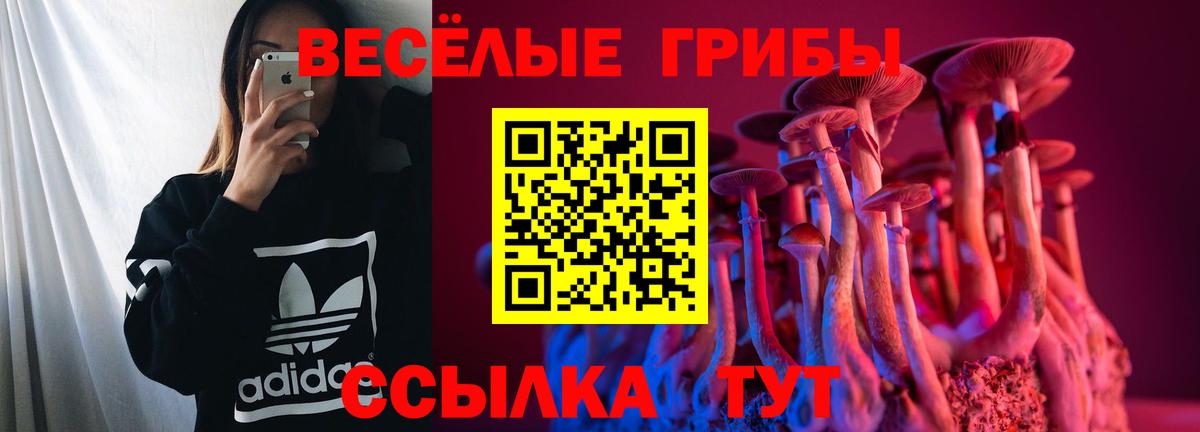 Псилоцибиновые грибы мухоморы  Галлюциногенные грибы ЛСД  Менделеевск  Вход с VPN 